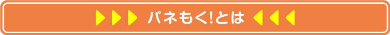 パネもく！とは