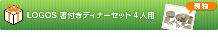 LOGOS 箸付きディナーセット4人用