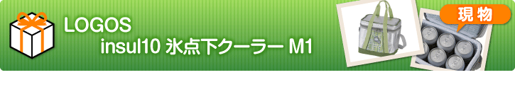 LOGOS insul10 氷点下クーラーM1