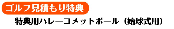 ＜特典用＞ハレーコメットボール（始球式用）【現物】 