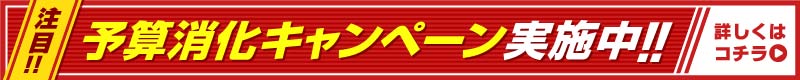 予算消化キャンペーン