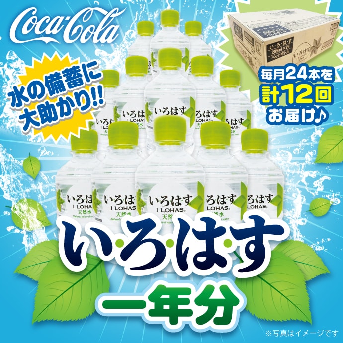 パネもく い ろ は す一年分 パネル付 景品パーク