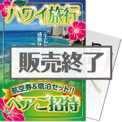 パネもく ハワイ旅行3泊5日ペアご招待 決済方法 銀行振込のみ パネル付 景品パーク